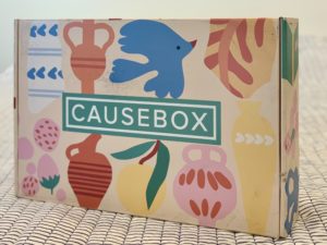 Causebox Subscription Box Intro - CAUSEBOX Review