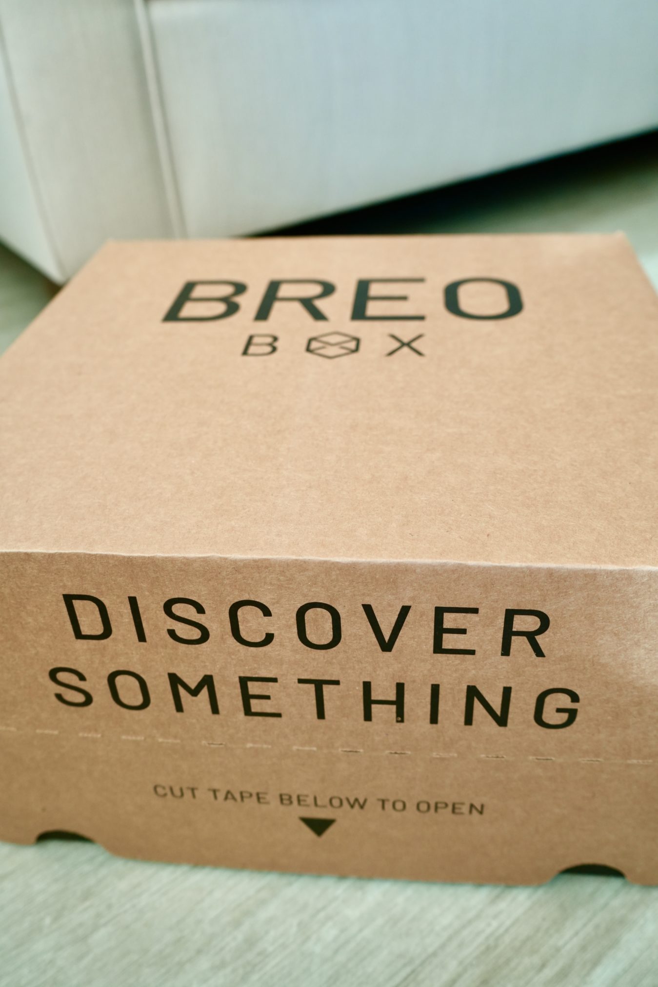 BREO Box Review: Coolest Subscription or Waste Of Money?