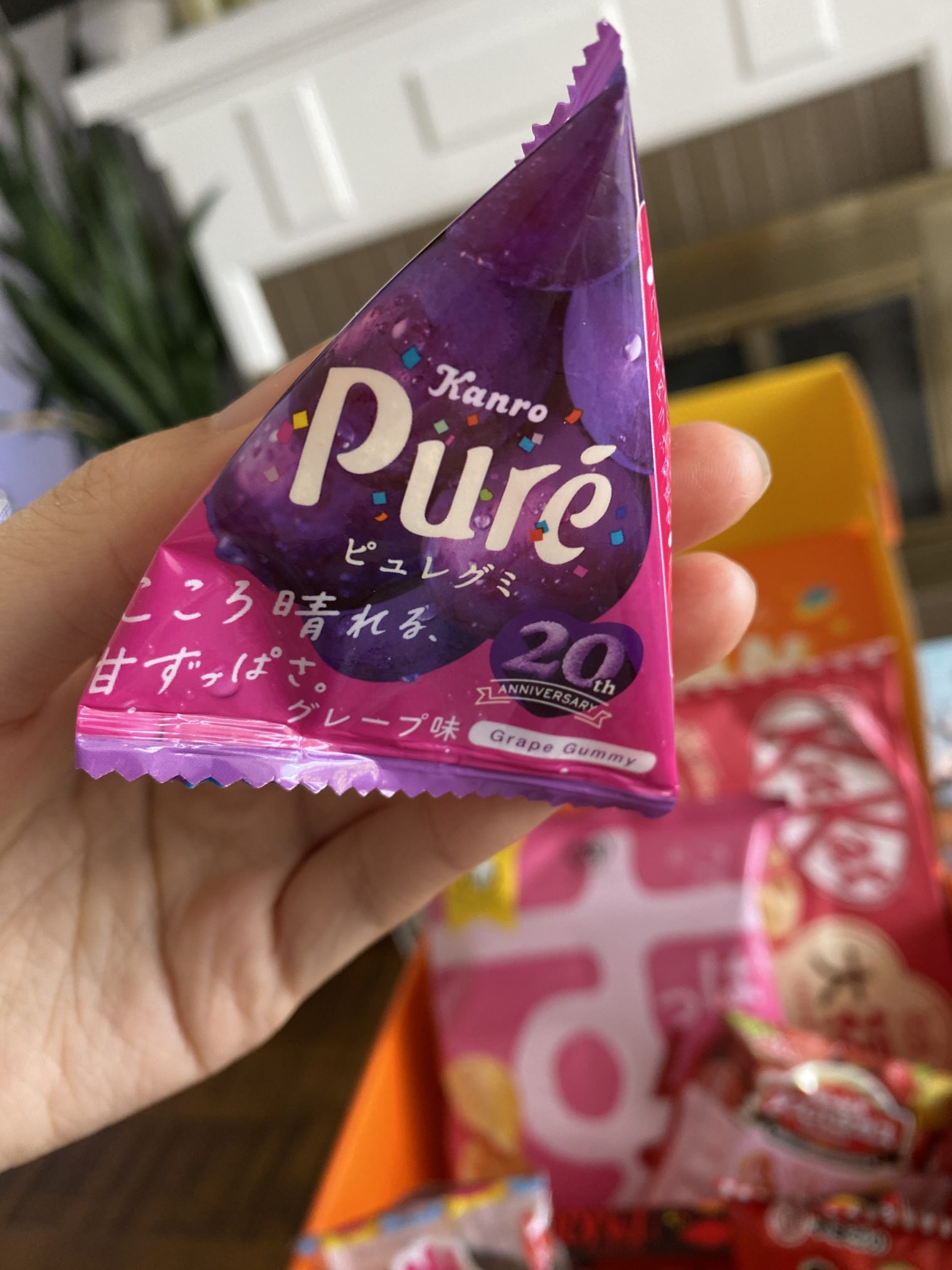 Tokyo Treat Box - Best Japanese Snack Subscription Box