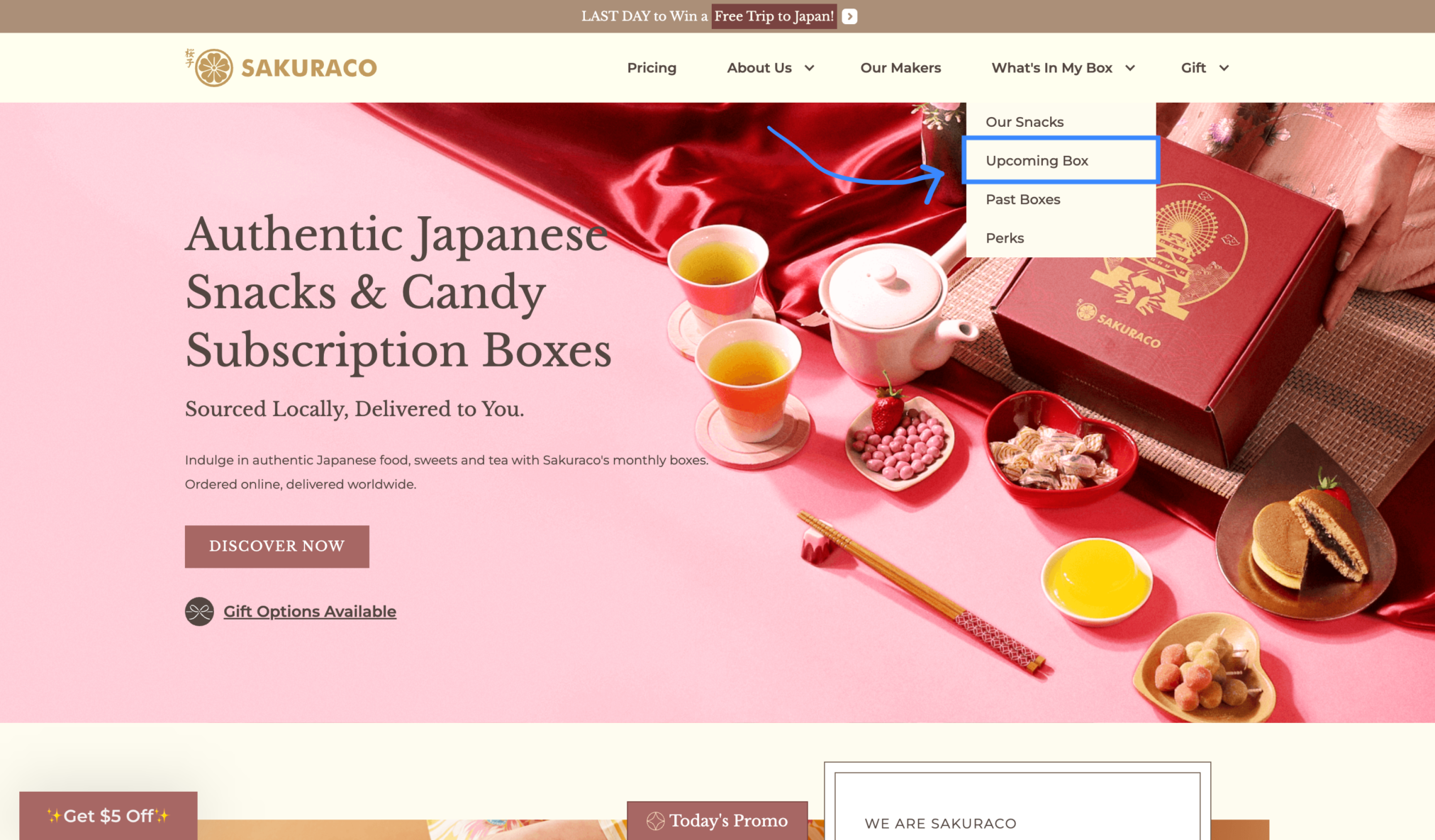 Sakuraco Upcoming Box Themes - Sakuraco Review