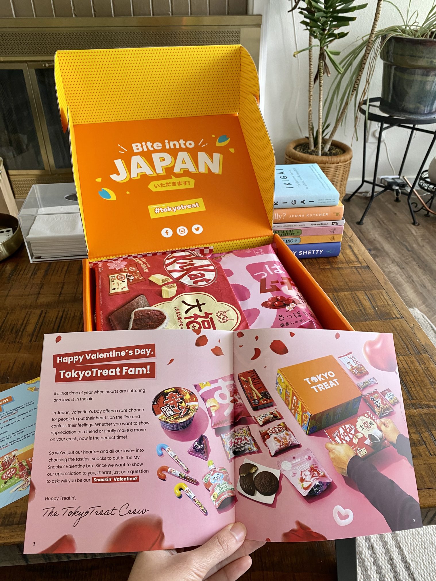 Tokyo Treat Valentines Day Box 2023 Review