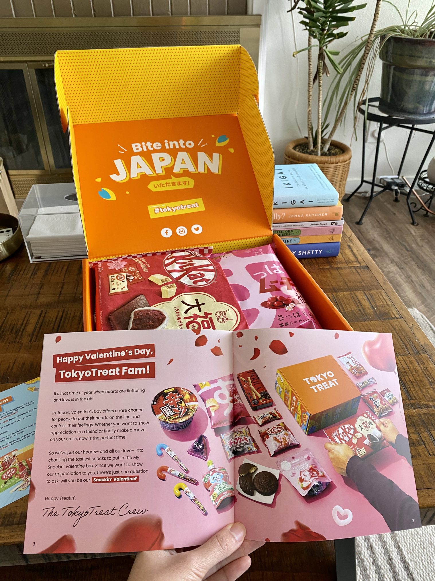 TokyoTreat Review + Coupon - February 2019