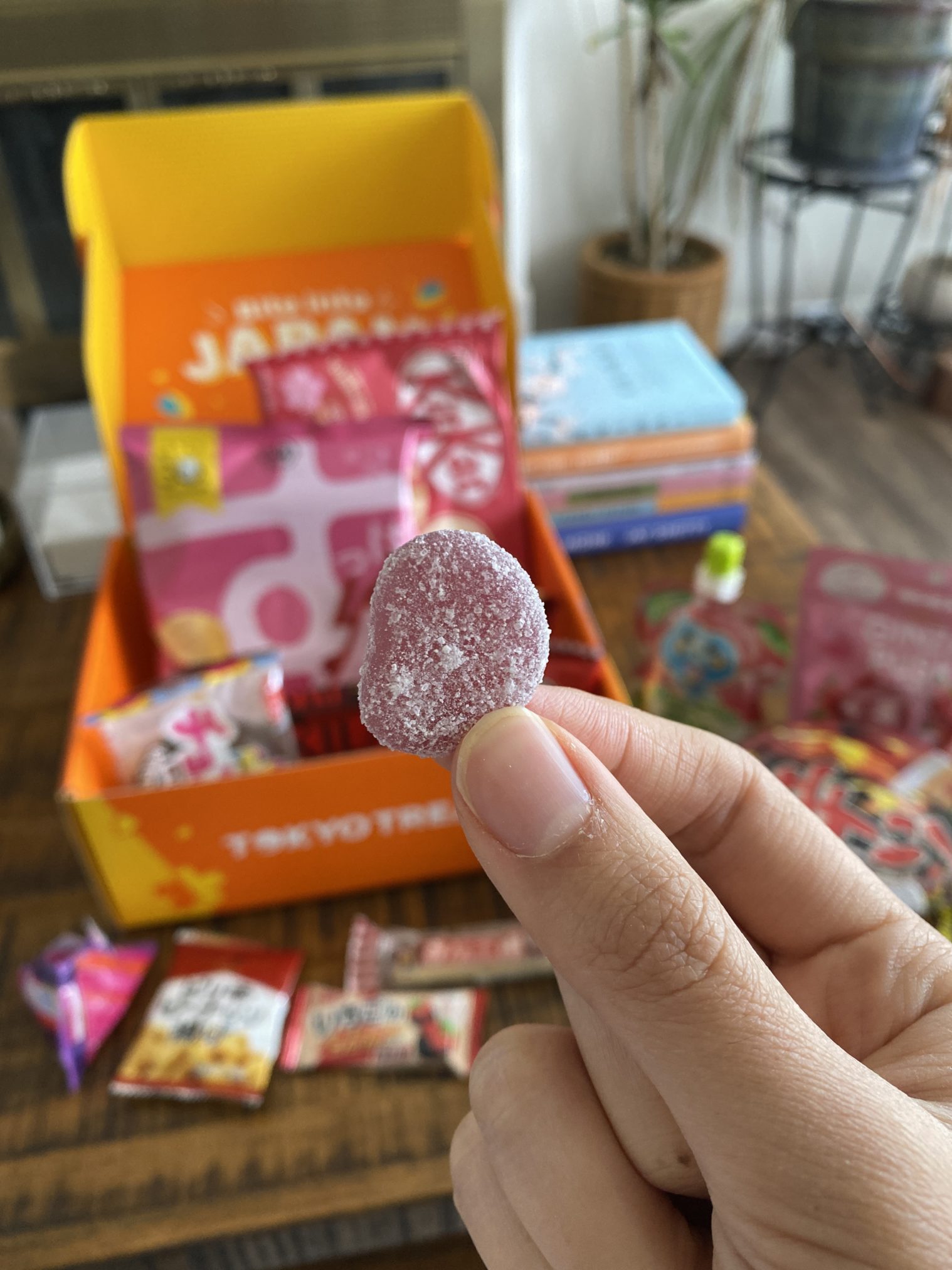 Tokyo Treat Box - Best Japanese Snack Subscription Box