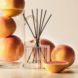 Nest Reed Diffuser Grapefruit